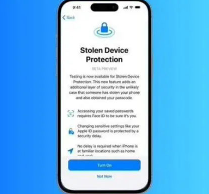 泸水苹果授权维修店分享被盗设备保护功能开启方法