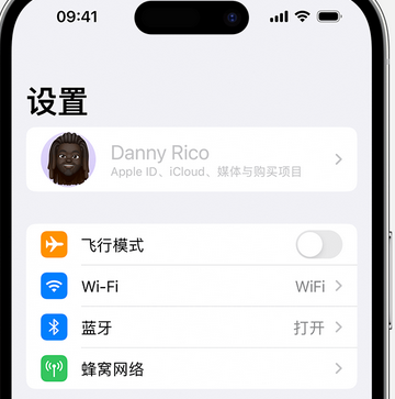 泸水appleID维修服务iPhone设置中Apple ID显示为灰色无法使用