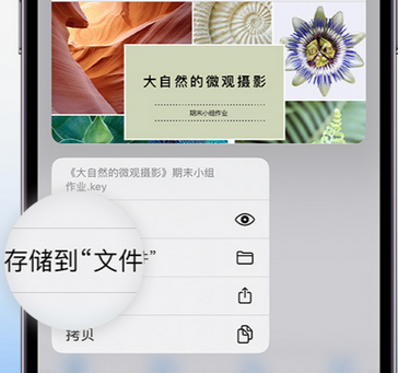 泸水apple维修中心分享iPhone文件应用中存储和找到下载文件