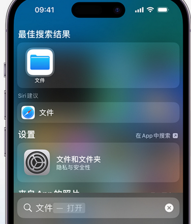 泸水apple维修中心分享iPhone文件应用中存储和找到下载文件 