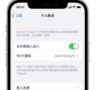 泸水apple服务站点分享iPhone上个人热点丢失了怎么办