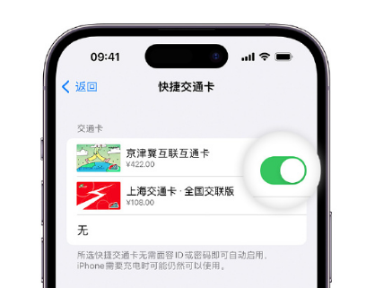 泸水apple维修点分享iPhone上更换Apple Pay快捷交通卡手绘卡面 