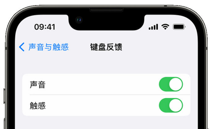 泸水苹果手机维修分享iPhone 14触感键盘使用方法 