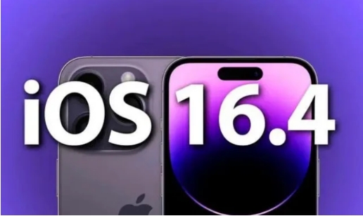 泸水苹果14维修分享：iPhone14可以升级iOS16.4beta2吗？ 