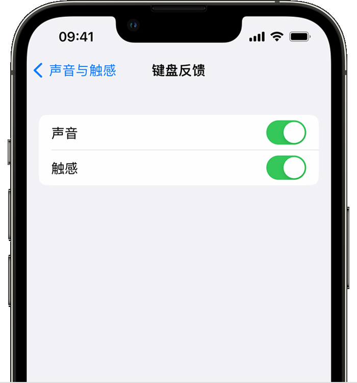 泸水苹果14维修店分享如何在 iPhone 14 机型中使用触感键盘 