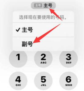 泸水苹果14维修店分享iPhone 14 Pro Max使用副卡打电话的方法 