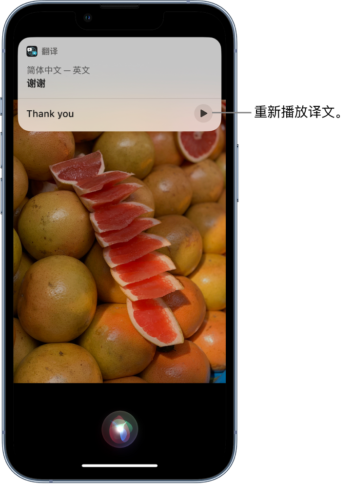 泸水苹果14维修分享 iPhone 14 机型中使用 Siri：了解 Siri 能帮你做什么 