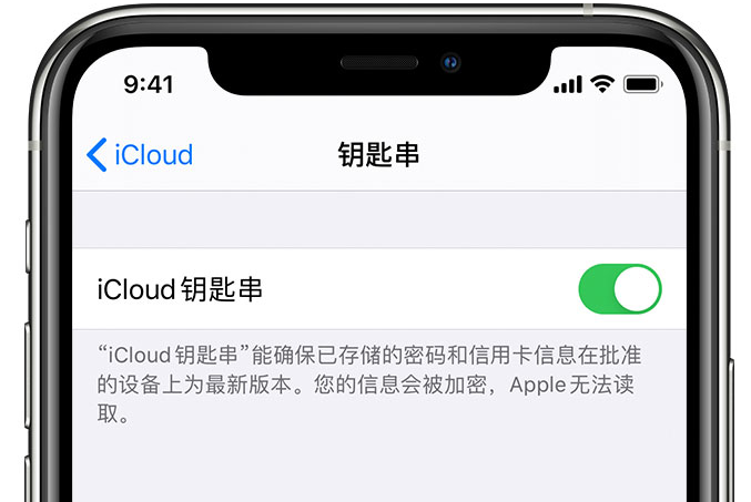 泸水苹果手机维修分享在 iPhone 上开启 iCloud 钥匙串之后会储存哪些信息 