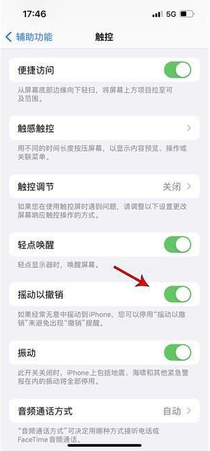 泸水苹果手机维修分享iPhone手机如何设置摇一摇删除文字 