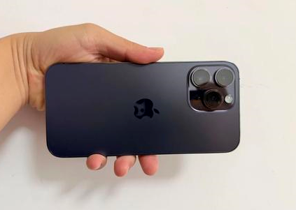 泸水苹果维修点分享iPhone 14 Pro Max黑屏少见故障盘点 